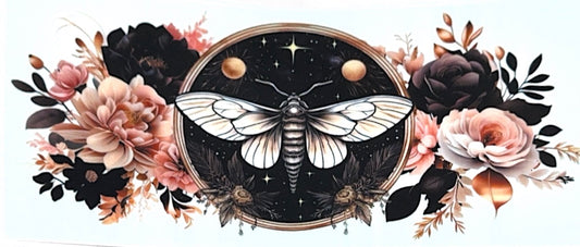 Moth flowers