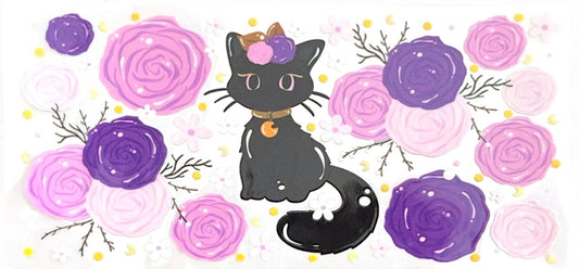 Black cat